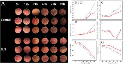 Hydrogen sulfide alleviates pericarp browning in lichi fruit by modulating energy and sugar metabolisms